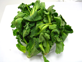 那羅部落愛心菜