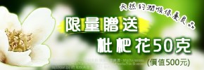 枇杷預購滿1000元，SEVEN愛心購物網即捐款唐氏症基金會「天使21家園」100元